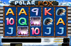 Основной экран Polar Fox